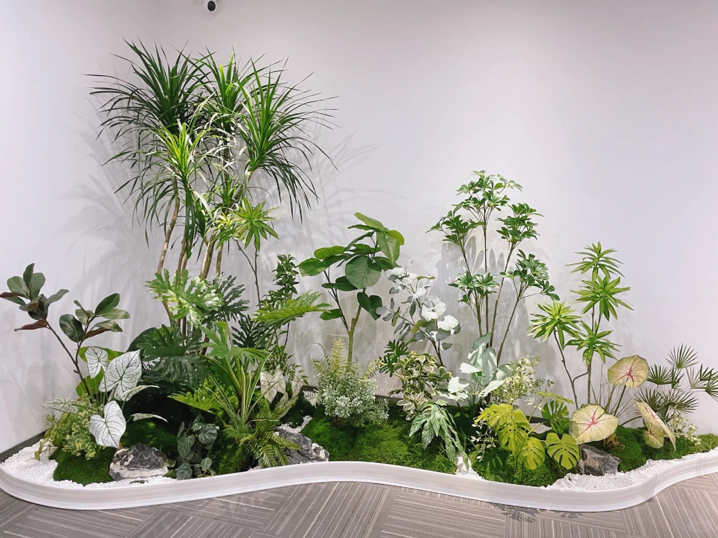 专业慈溪盆景出租，让绿植为环境增添别样风采